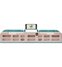 Zlagboard Evo - Trainingboard